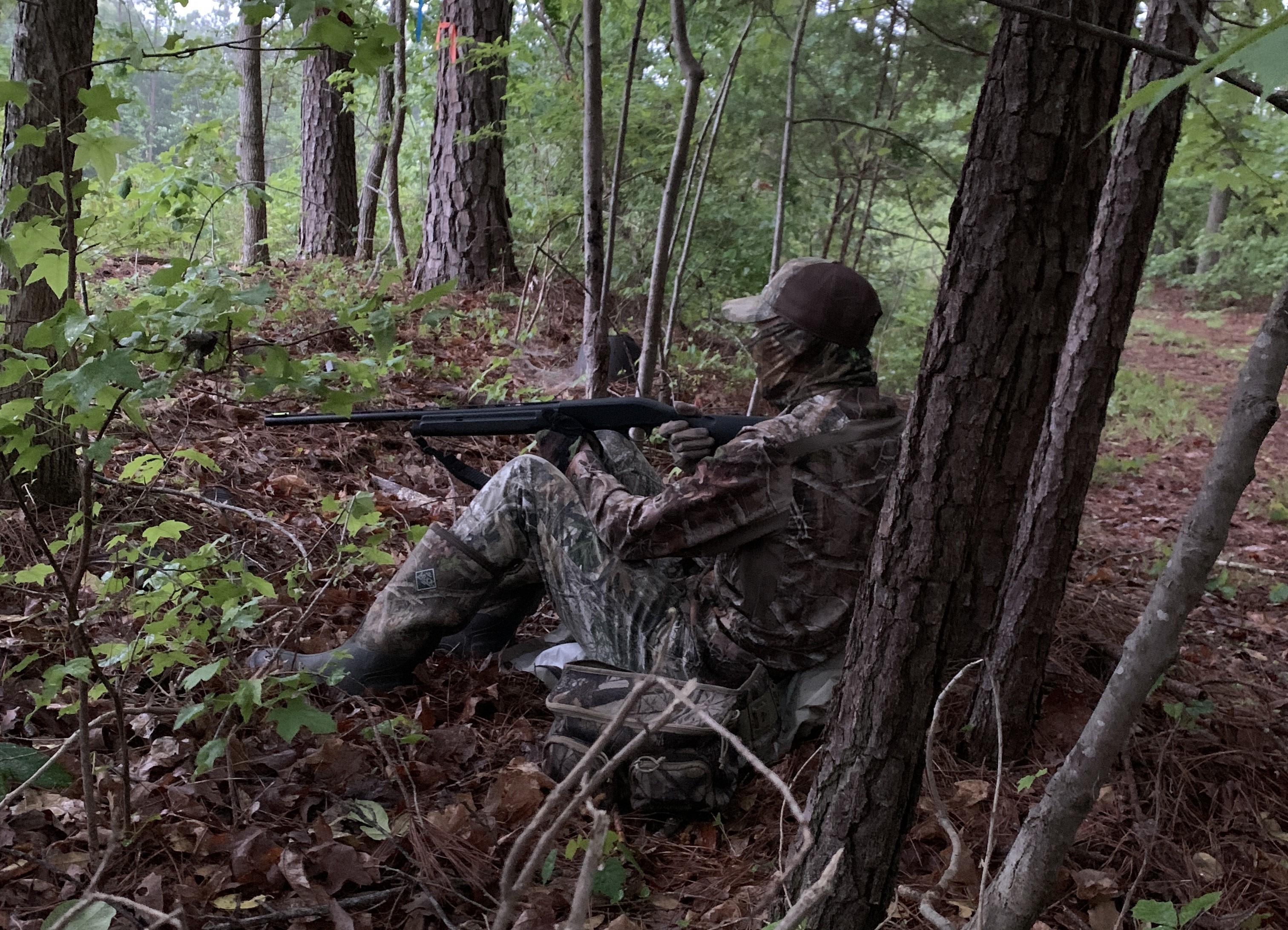 a person waiting in the woods